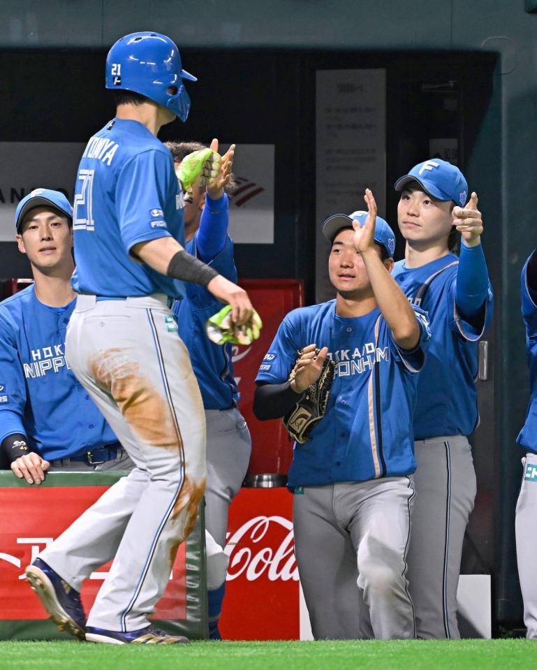 　４回、万波の先制打で生還した清宮幸を迎える山崎（右端）ら日本ハムナイン