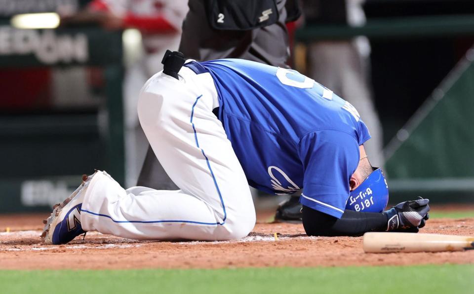 　７回、右手への死球でうずくまる細川（撮影・市尻達拡）