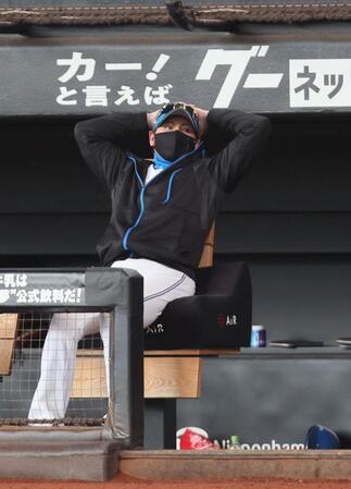 　４回、先制され、頭を抱える新庄監督（撮影・中島達哉）