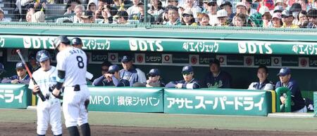 　６回、適時三塁打を放った佐藤輝（８）を見つめる奥川（右端）らヤクルトナイン（撮影・中田匡峻）