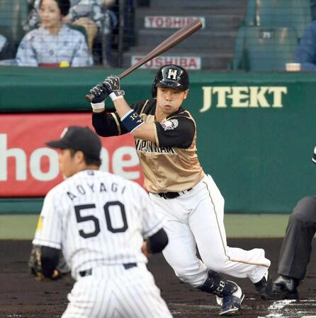 日本ハム時代の近藤健介（２０１７年６月）