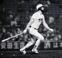 最終打率を３割８分９厘とし、プロ野球記録を樹立したランディ・バース（１９８６年１０月）