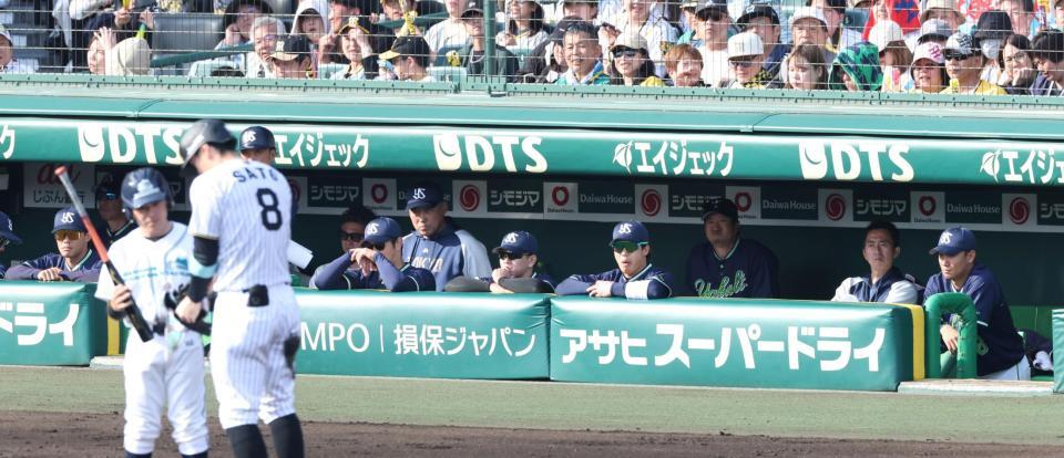 　６回、適時三塁打を放った佐藤輝（８）を見つめる奥川（右端）らヤクルトナイン（撮影・中田匡峻）