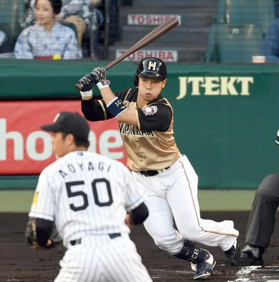 日本ハム時代の近藤健介（２０１７年６月）