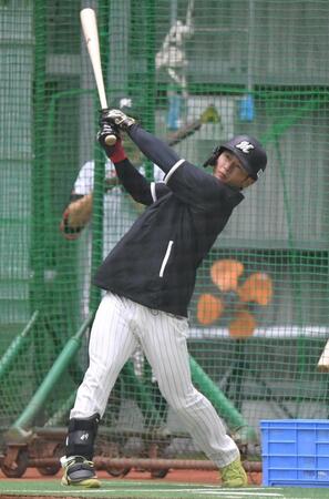 　室内で打撃練習する立松（撮影・開出牧）