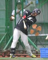 　室内で打撃練習する立松（撮影・開出牧）