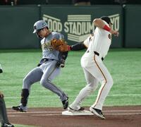 　１回、犠打の中野と送球を受けた岡本（撮影・金田祐二）