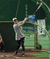 　フリー打撃を行う坂本（撮影・金田祐二）