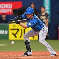 　１２回、バント安打を決める浅間（撮影・西田忠信）