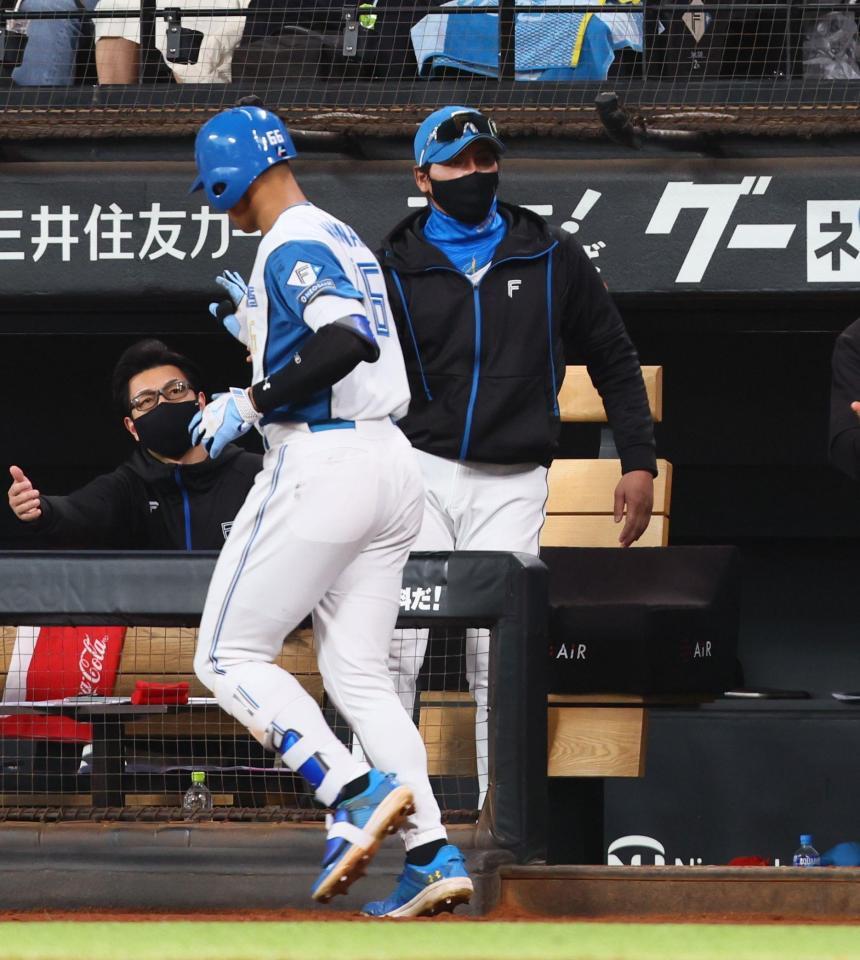 　５回、逆転満塁本塁打を放った万波（左から２人目）を迎える新庄監督（撮影・中島達哉）