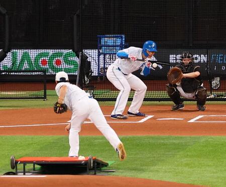 　バント練習する清宮幸（撮影・中島達哉）