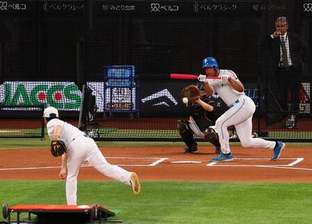 　バント練習する万波（撮影・中島達哉）