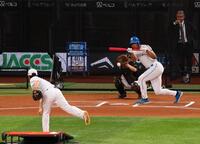 　バント練習する万波（撮影・中島達哉）