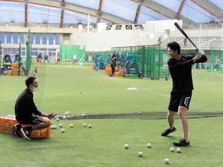 　早朝のアーリーワークで秋広にトスを上げる阿部ヘッドコーチ＝２２年１１月