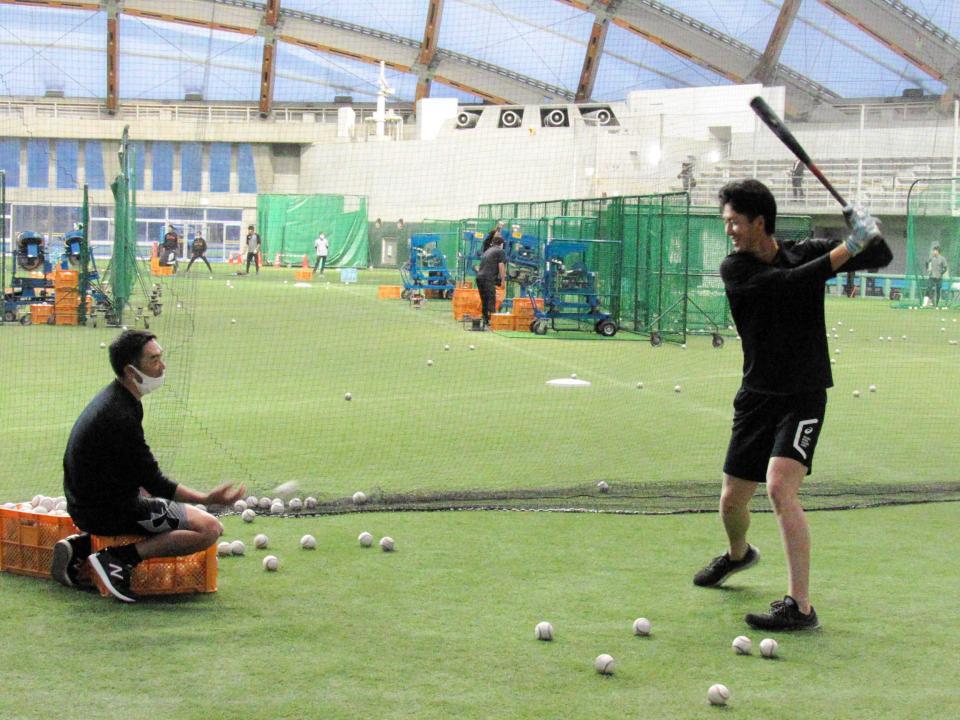 　早朝のアーリーワークで秋広にトスを上げる阿部ヘッドコーチ＝２２年１１月