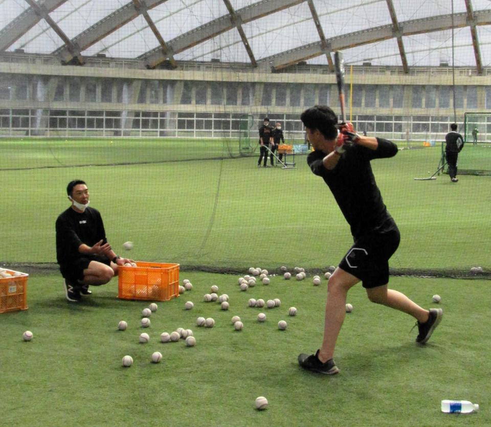 　阿部ヘッドコーチ（左）がトスを上げる中でティー打撃を行う秋広＝２２年１１月