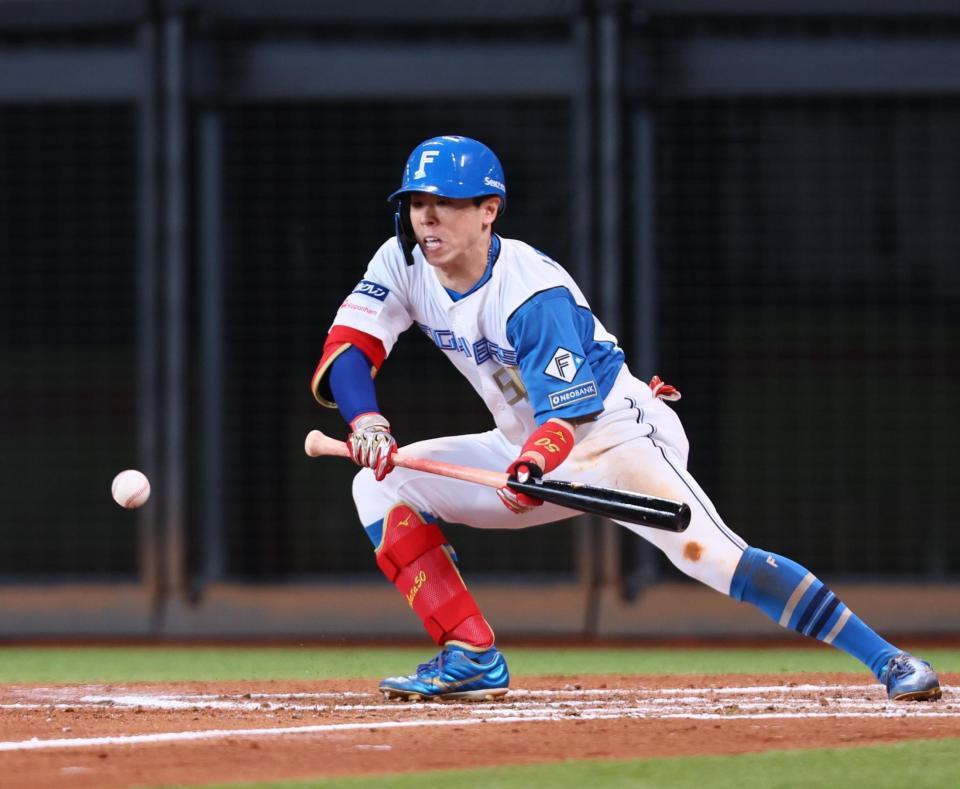 ７回、スクイズを決める五十幡（撮影・中島達哉）