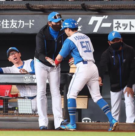 　５回、レイエスの同点打で生還した五十幡を迎える新庄監督（左から２人目）＝撮影・中島達哉