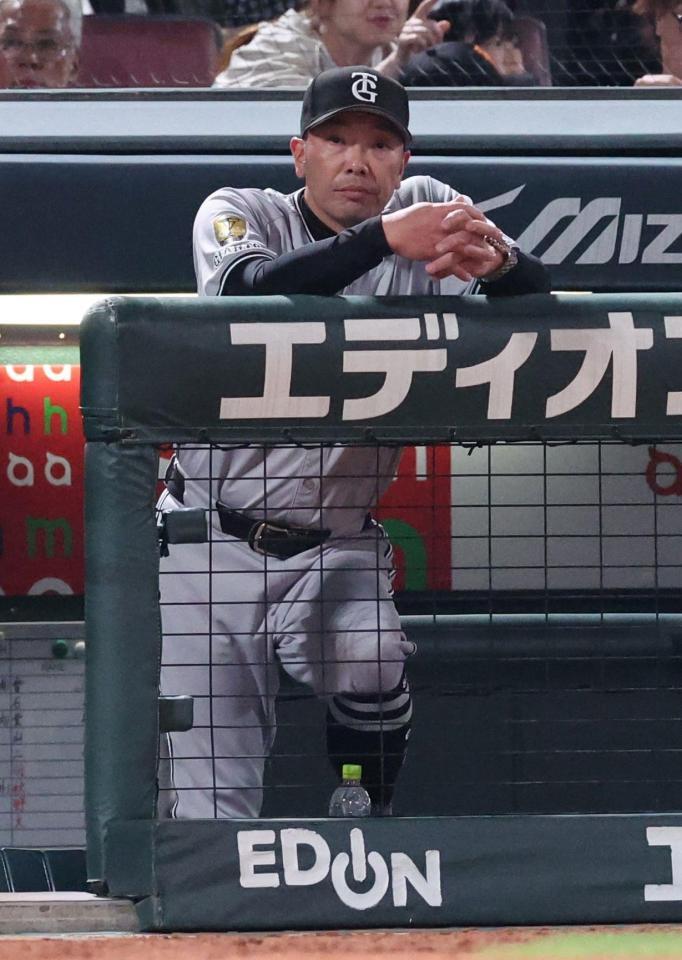 　６回、打席を見つめる阿部監督（撮影・市尻達拡）