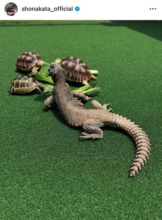 　中田翔インスタグラム（Ｓｈｏ　Ｎａｋａｔａ１０）より