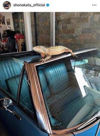 　中田翔インスタグラム（Ｓｈｏ　Ｎａｋａｔａ１０）より