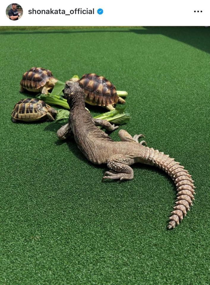 　中田翔インスタグラム（Ｓｈｏ　Ｎａｋａｔａ１０）より