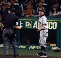 　７回、投手交代を告げる阿部監督（撮影・山口登）