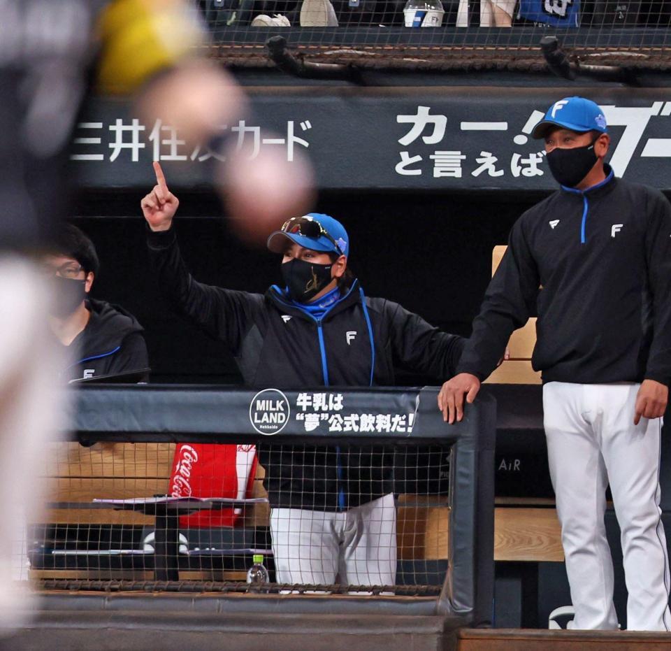 　２回、先制打を放った伏見に向かって指を突き上げる新庄監督（中央）＝撮影・中島達哉