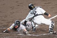 　４回、井上の遊ゴロで本塁へ生還する浅野（撮影・立川洋一郎）