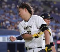 　６回、勝ち越しとなる犠飛を放ち、ベンチ前でタッチを交わす杉本（撮影・坂部計介）