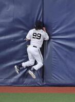 　１回、岡の打球を好捕し、フェンスに激突する杉本（撮影・坂部計介）