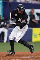 　３回、死球を受ける岡（撮影・坂部計介）