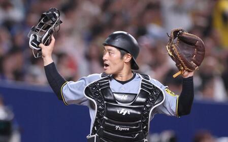 　５回、飛び出した中日三走・カリステをタッチアウトにした坂本（撮影・北村雅宏）