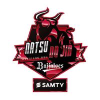 　ＢＳ夏の陣２０２５ロゴ（球団提供）