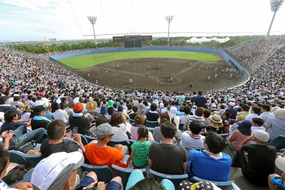 　大阪桐蔭対履正社の試合でびっしりと人で埋まる球場＝１５年