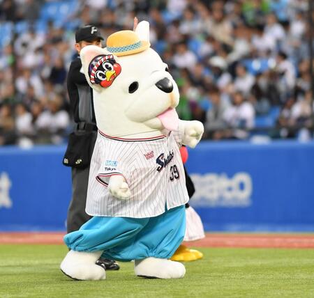 　始球式を務めるめちゃコミック応援隊長のめちゃ犬（撮影・開出牧）