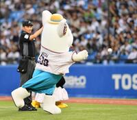 　始球式を務めるめちゃコミック応援隊長のめちゃ犬（撮影・開出牧）