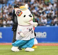 　始球式を務めるめちゃコミック応援隊長のめちゃ犬（撮影・開出牧）