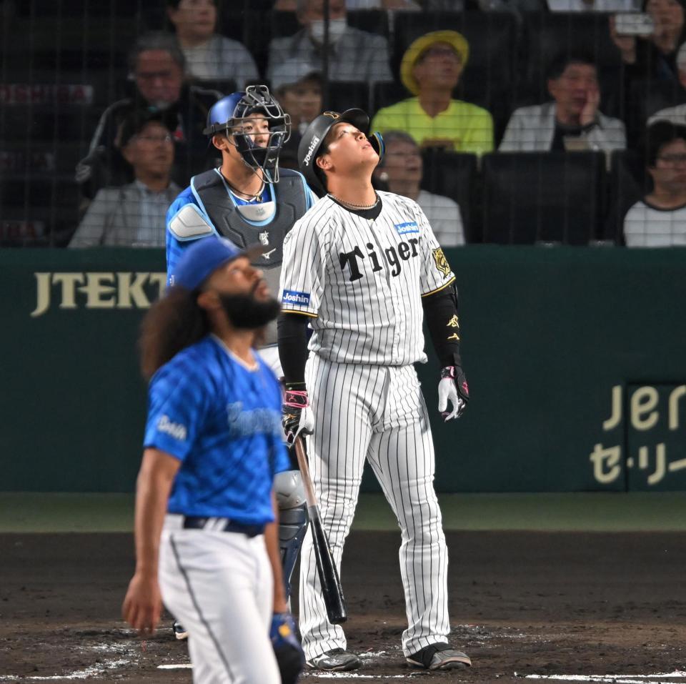 　４回、邪飛を打ち上げ打球を見上げる大山（撮影・飯室逸平）