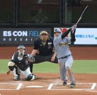 　６回、先制ソロを放つ大山（撮影・西岡正）