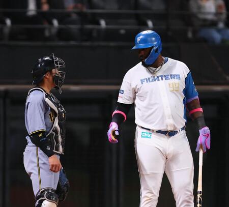 【写真】レイエスがまた試合中に相手選手と交流　阪神・梅野と言葉をかわし満足そうな笑み