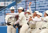 　優勝し歓喜の伊藤樹（左から２人目）ら早大ナイン（撮影・金田祐二）