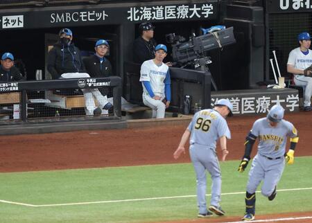 日本ハム　新庄監督が珍要望？甲子園に「ゾーン・輝作ってあげて」佐藤輝明の記念弾に拍手送る「彼の実力なら３００、４００…ゾーン・輝できたらね」