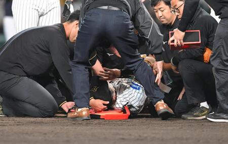 　担架に乗せられる石井＝６日