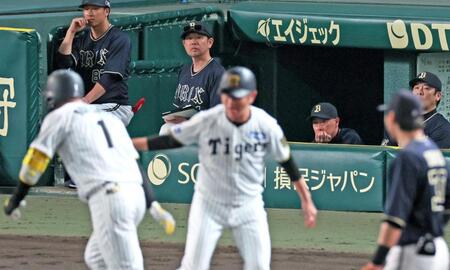 　６回、逆転３ランを放った森下（手前左）を見つめる岸田監督（右奥から２人目）＝撮影・立川洋一郎