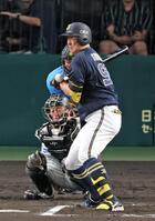 　６回、死球を受ける杉本（撮影・立川洋一郎）