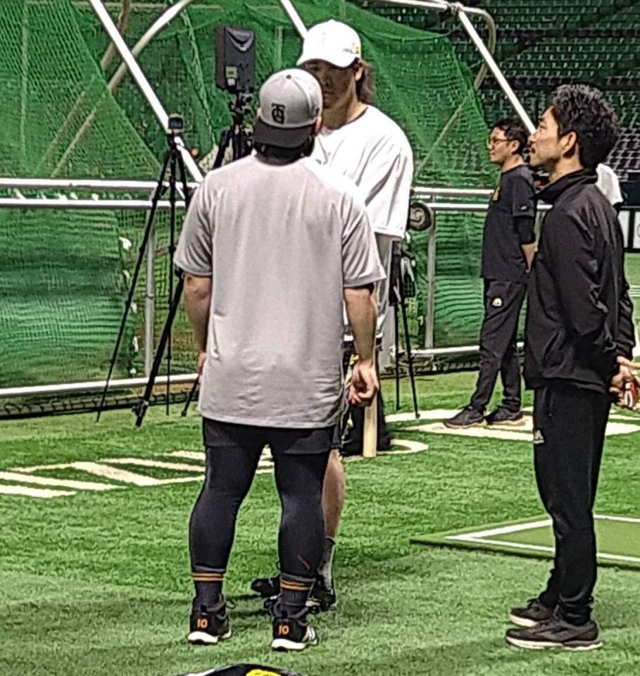 　古巣にあいさつ詣でする甲斐（左手前）