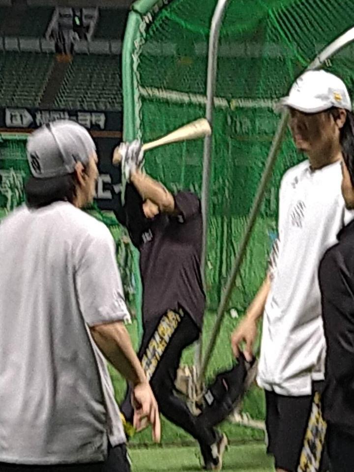 　古巣にあいさつする甲斐（左）