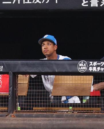 　５回、代打を送られ、戦況を見つめる万波＝１１日