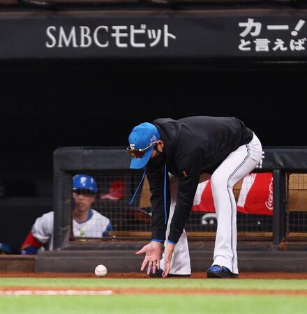 　７回、進藤のプロ初安打の記念球を回収する新庄監督（撮影・中島達哉）